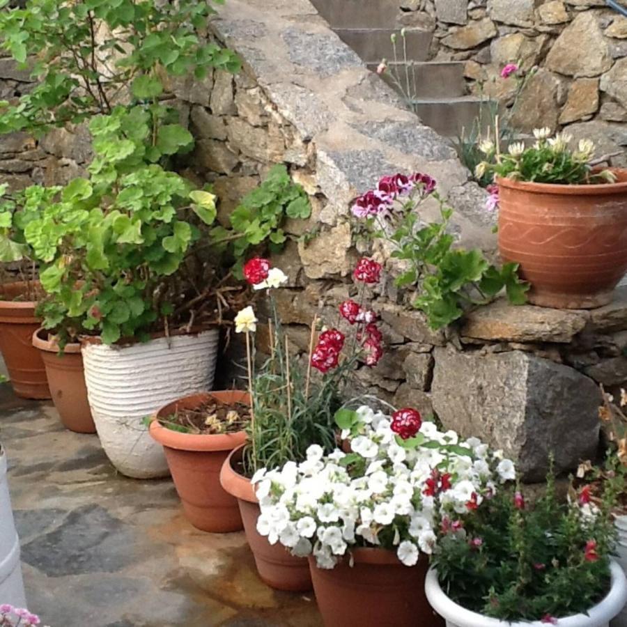 Mykonos Town Dominique & Carlos Place מראה חיצוני תמונה